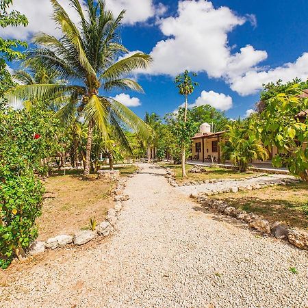 Posada Palmar 巴卡拉尔 外观 照片